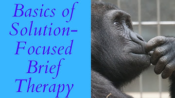 Basic Principle of Solution-Focused Brief Therapy in Less Than 5-Minutes