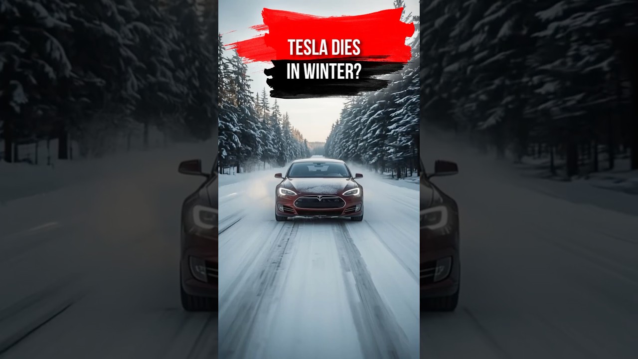 Tesla при температуре -4°F (-20°C): разряженная батарея или зимний зверь?