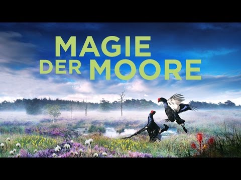 Magie der Moore - Trailer 1 [HD] Deutsch / German