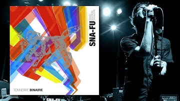 SNA-FU GRAND DESORDRE ORCHESTRE - TRANSCENDING REALITY