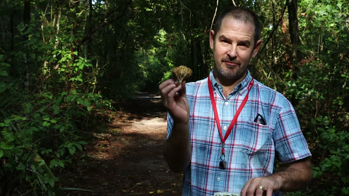 Museum in the Parks: Meet a Mycologist and Learn About Fungi