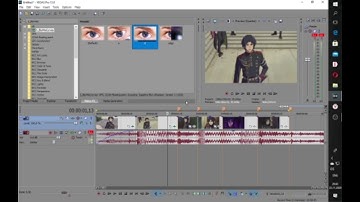 svp tutorial zoom in out.