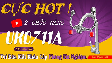 Vòi Rửa Mắt Khẩn Cấp Trong Phòng Thí Nghiệm UK0711A, Vòi Rửa Mắt Kết Hợp Rửa Tay - Lâm Quang Phát