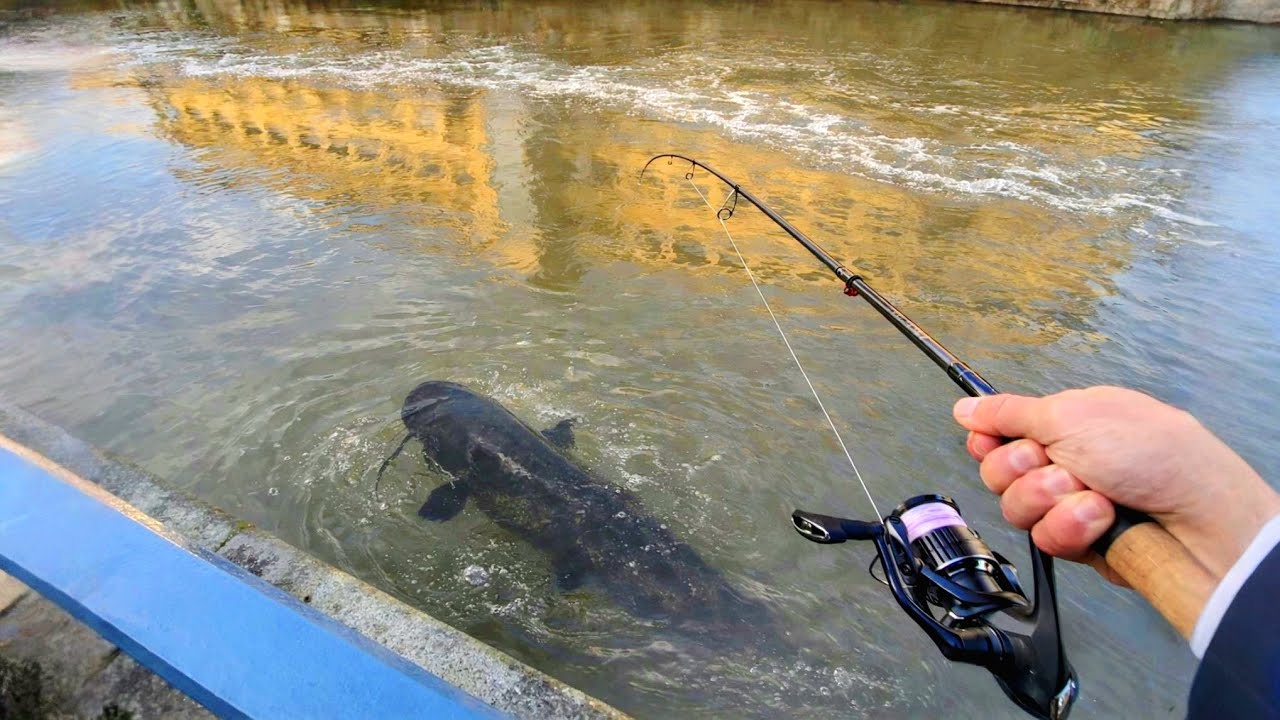 Grosse SURPRISE au VER de TERRE, ça déroule à fond !!