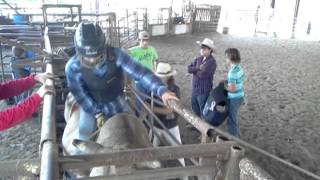 practice pen bull ride