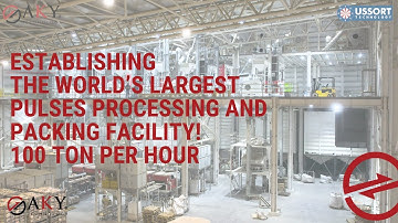 Establishing the World’s Largest Pulses Processing and Packing Facility! 100 tons/year