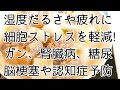 【食べて予防】湿気だるさ＆疲労回復！現代の研究で話題の細胞の酸化ストレスを減らす食材でガン・腎臓病・糖尿病・脳梗塞・認知症を撃退します！