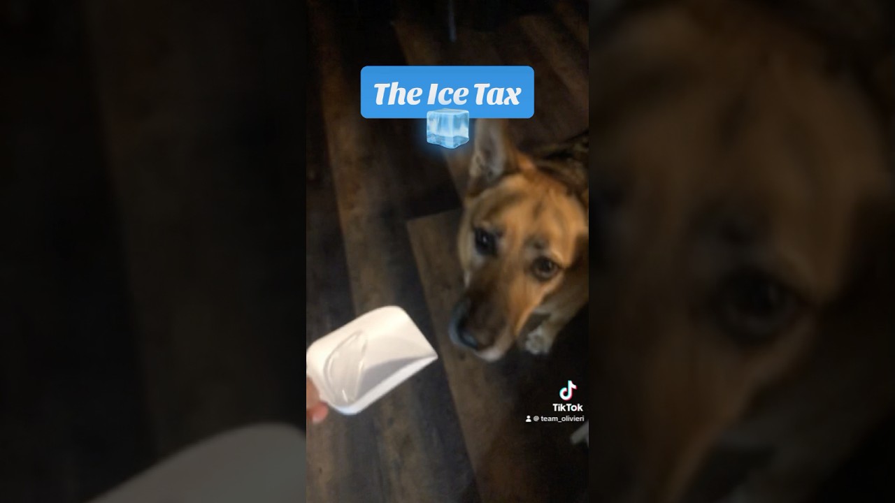 The Ice Tax! 🧊