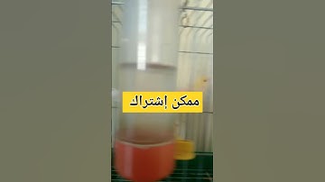 لاتقاطع القرأن الكريم من فضلك #القرآن_الكريم #تلاوة_خاشعة #يارب #القران #اكسبلور #لايك #ترند