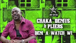 Chaka Demus & Pliers - Dem a Watch Wi | Jet Star Music
