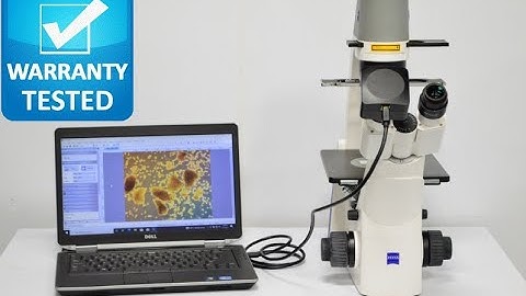 Zeiss PrimoVert Inverted Phase Contrast Microscope [BOSTONIND] - 25813