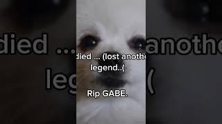 Celebrity We lost another legend Rest in peace Gabe. Net Worth