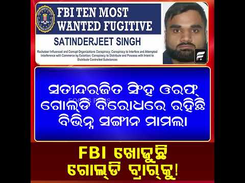 FBI ମୋଷ୍ଟ ୱାଣ୍ଟେଡ୍ତା ଲିକାରେ ଗୋଲ୍‌ଡି ବ୍ରାର୍ || FOCUSPLUS ||