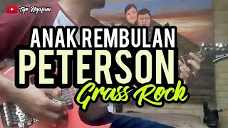 PETERSON - ANAK REMBULAN //GUITAR COVER - GRASS ROCK