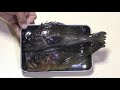 ソイの麦とろ蒸し　Pressed barley dish