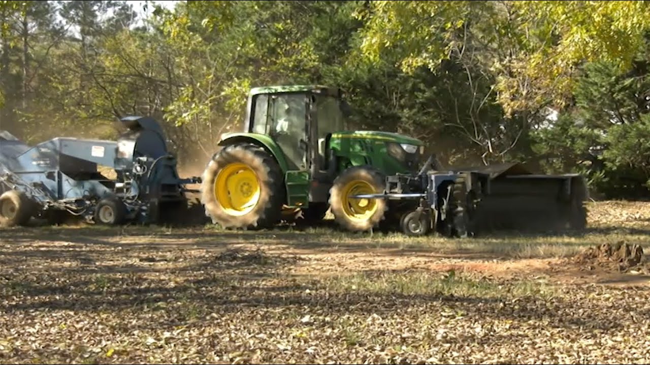 Impacts of Hurricane Helene Reflected in Pecan Harvest