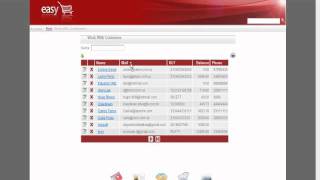 Demo: 7. We view our billing application which was formatted to make it more attractive