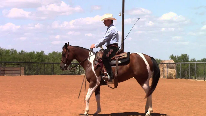 Teaching a Horse to Canter Depart