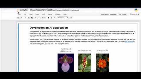View image files - udacity machine learning nanodegree image classification project walkthrough 1