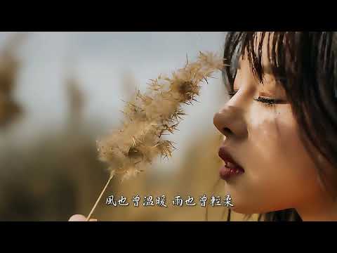 ♫ 台北的天空 ♫「我走過青春 我失落年少 如今我又再回到 思念的地方」動態歌詞