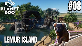 PULAU UNTUK LEMUR | Ada 3 Jenis Lemur dari Hutan Hujan Afrika!! | Zoo Kota 08