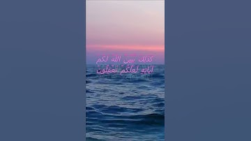 سورة البقرة اية 242 - مع صوت البحر بصوت جميل - كَذَلِكَ يُبَيِّنُ اللَّهُ لَكُمْ