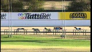 Angle-Park-05012015-Race-4