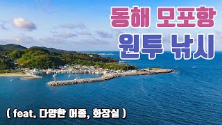 [다리tv] 동해 모포항 원투낚시!!! 다양한 손맛!!!  ☆ 여행! 캠핑! 낚시! 포인트 ☆ (South Korean Port Drone Video!!!)