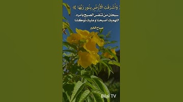 #أذكار_الصباح(أَصْبَحْنَا وَأَصْبَحَ الْمُلْكُ لِلَّهِ ، وَالْحَمْدُ لِلَّهِ، 🌿💚