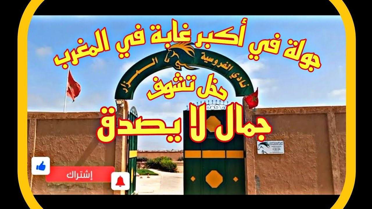 جولة في أكبر غابة في المغرب المزار 🔥  جمال لا يصدق  🔥 vlogs1