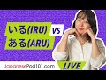 Japanese Grammar: いる (iru; to have) vs ある (aru; to have)