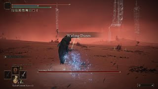 Trying to play ELDEN RING as a hack and slash game
