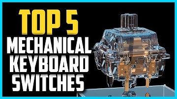 ✅ Top 5 Best Mechanical Keyboard Switches of 2025