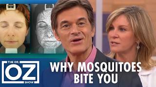 Why Mosquitoes Bite You And Not Everyone Else Oz Health