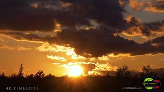 Oct 10 2023 beautiful 4K Sunset Timelapse Enjoy