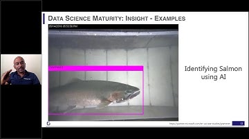 How to Build a Successful Data Science Roadmap | Webinar by Ganes Kesari