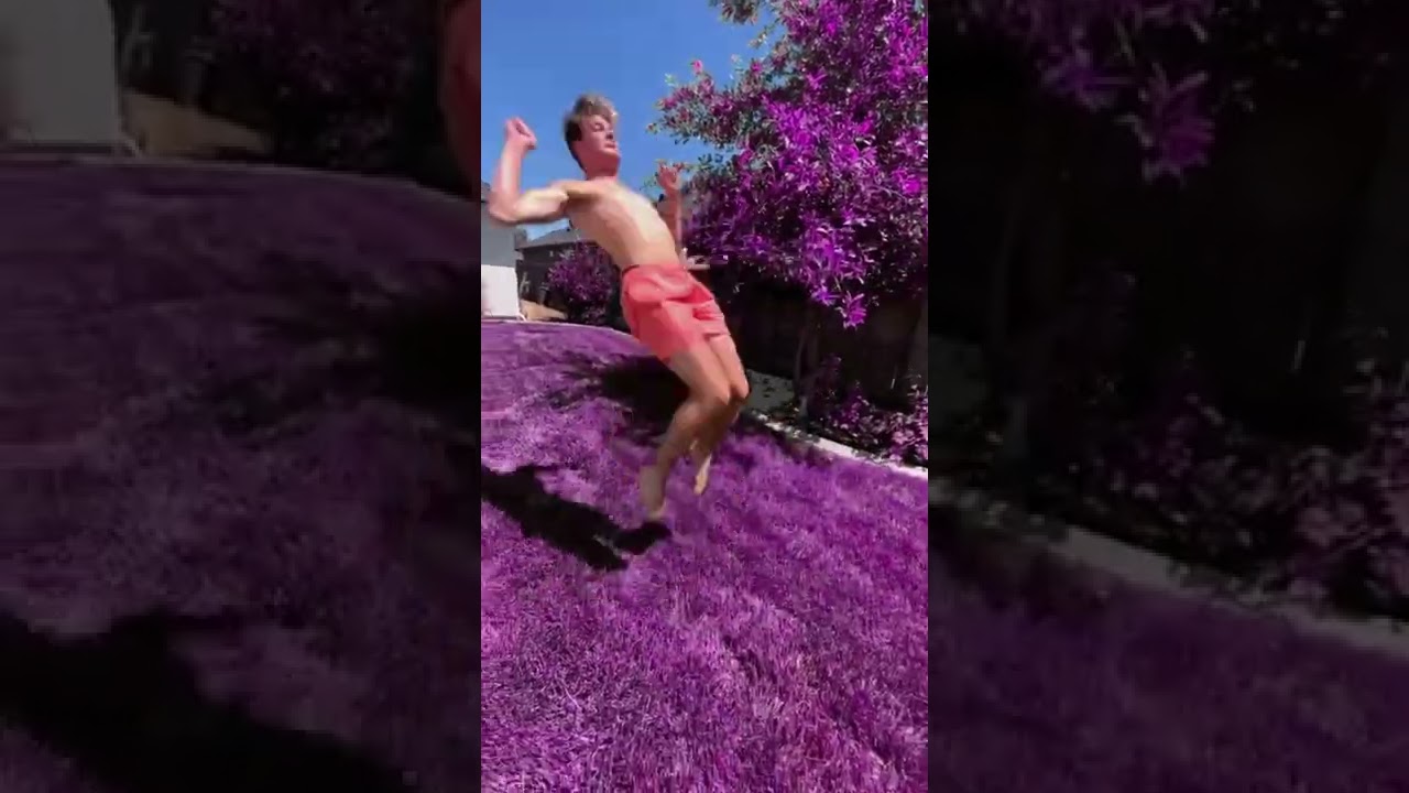Backflips on purple grass