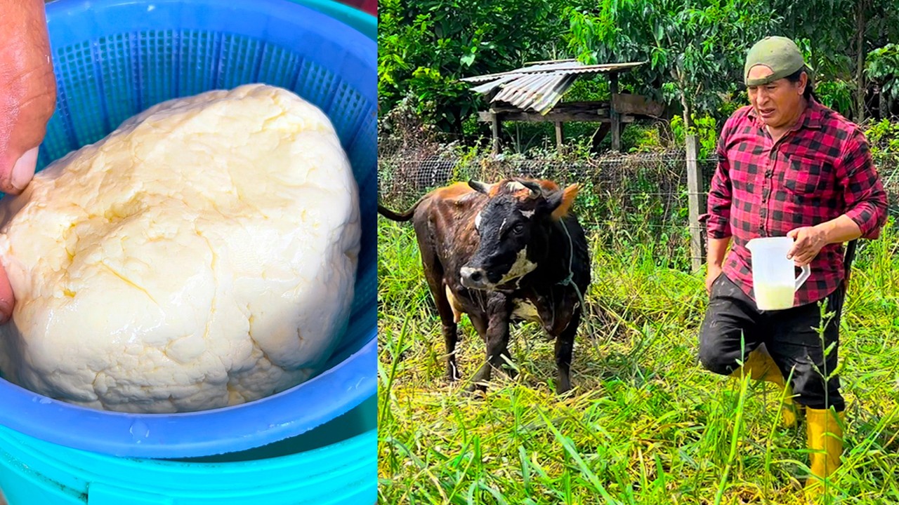 El primer QUESILLO de nuestra MINI VAQUITA | Don Valentin