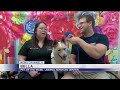 Pet of the Week: Bella