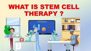 What is stem cell therapy? | Science Excel
