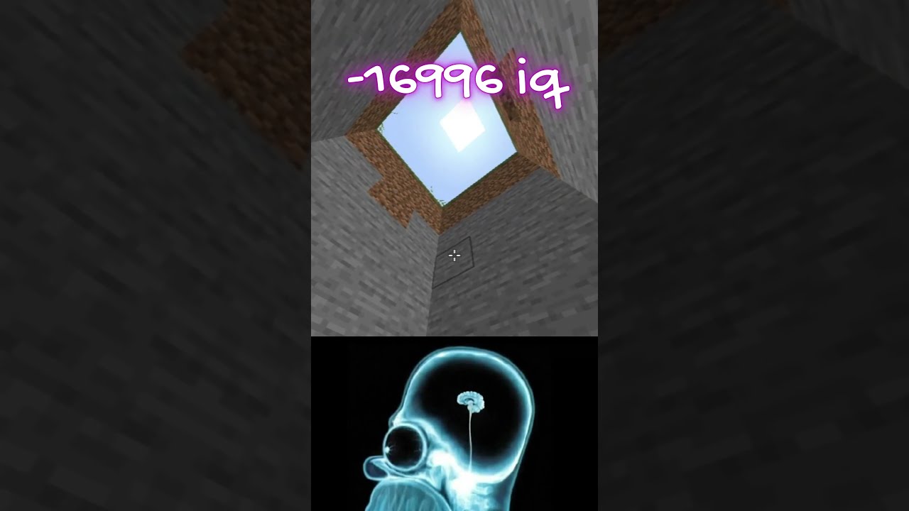  6923 IQ Vs 6969 Minecraft World S Smallest Violin Shorts Shortsfeed