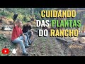 PLANTAÇÕES, ADUBO E TRANQUILIDADE | episódio 22