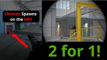 CS2 Protecting Chicken & Spawn Killing Bots in Arms Race