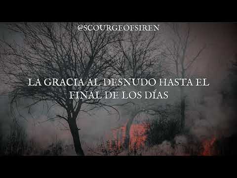 Watch the video for Bare grace misery traduccion