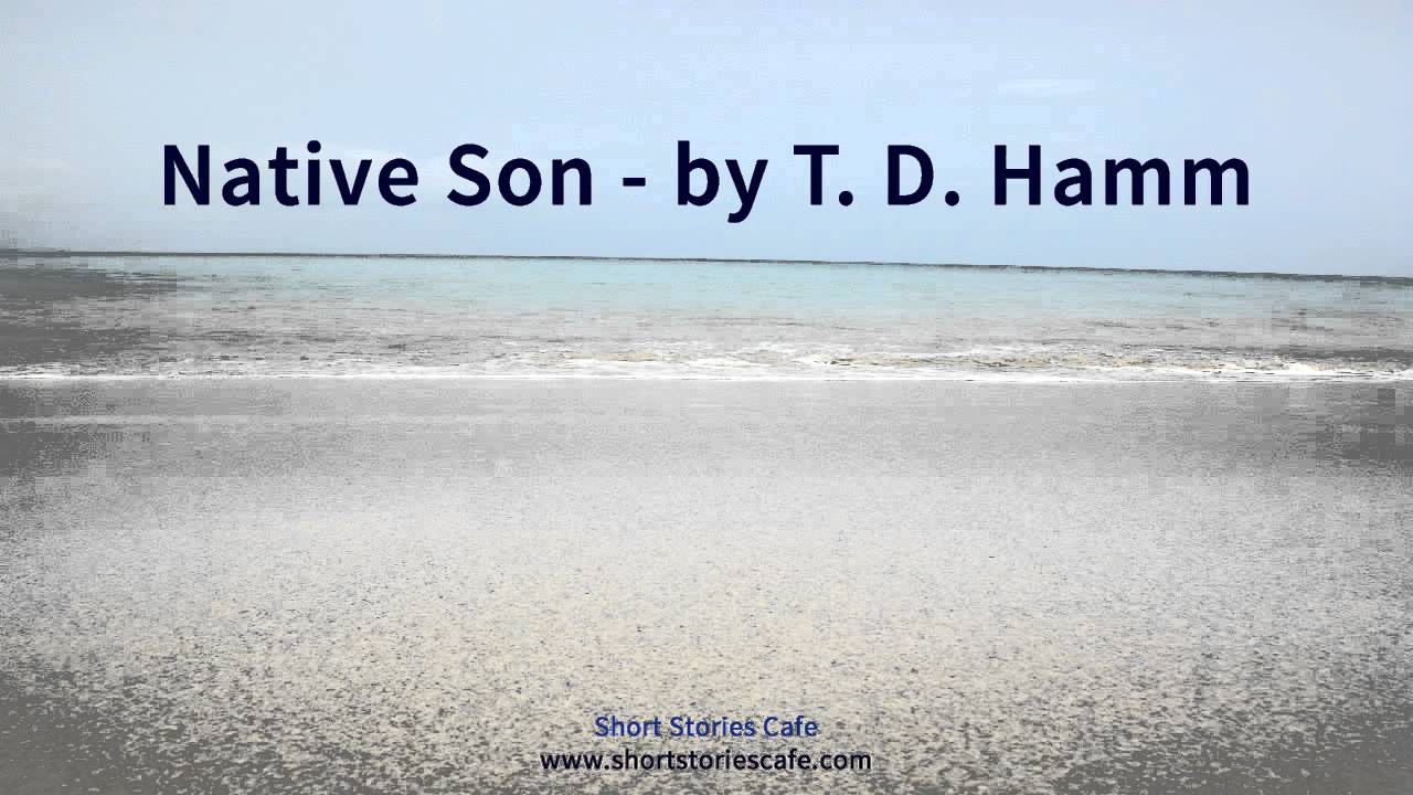 Native Son   by T  D  Hamm