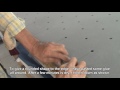 Beginning of video