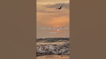 سورة السجدة من  آية 29 إلى آية 30 بصوت الشيخ ياسر الدوسري♥♥