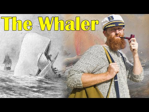 How the Early Settlers Hunted Whales & Seals in Australia