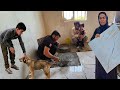 A heartwarming tale of family unity in cleaning the dogs house and tiling the kitchen