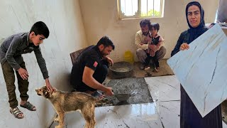 A Heartwarming Tale of Family Unity in Cleaning the Dog's House and Tiling the Kitchen